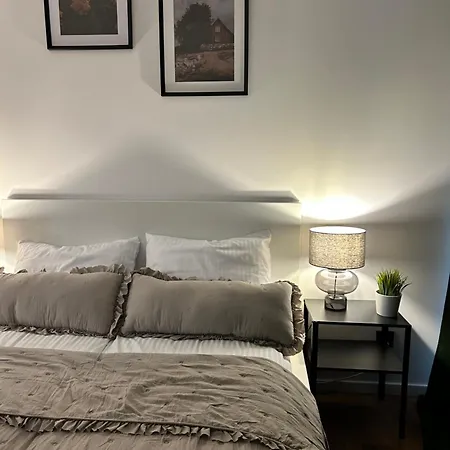 Vetaluniego High Quality Appartement Cracovie